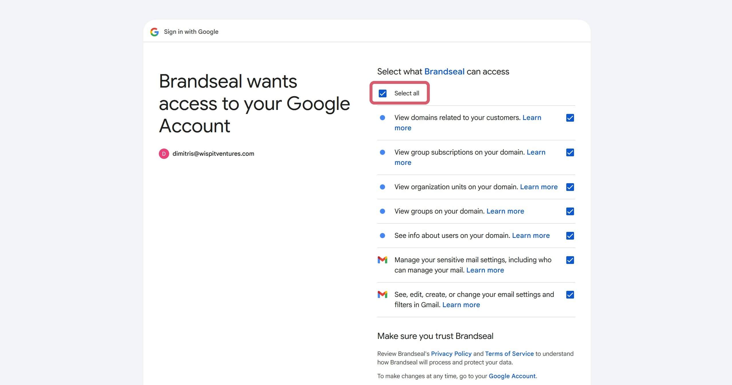 Google Workspace permissions granted page image